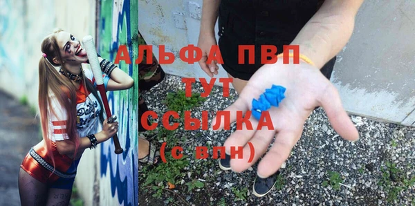 крисы Алзамай