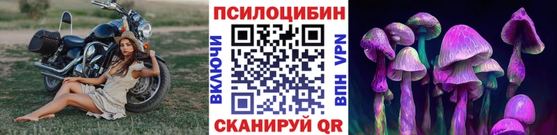 Галлюциногенные грибы Cubensis  продажа наркотиков  Новокузнецк 