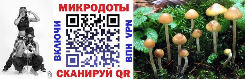 Галлюциногенные грибы ЛСД Новокузнецк