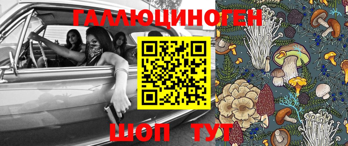 Псилоцибиновые грибы ЛСД Новокузнецк