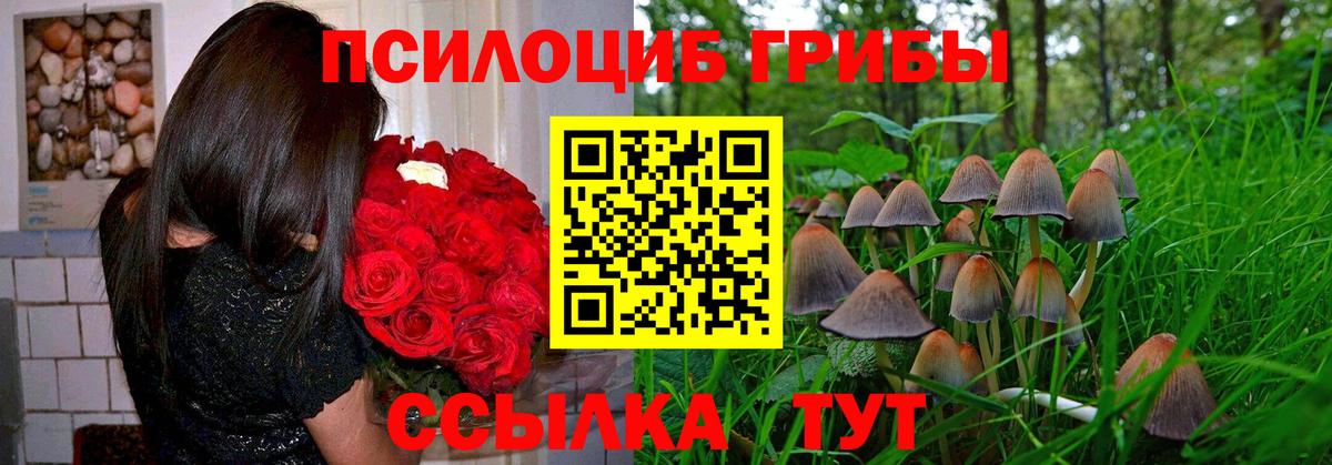 Новокузнецк  дарнет шоп  Вход с VPN  Псилоцибиновые грибы прущие грибы 